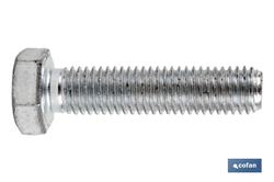 BLÍSTER TORNILLOS HEXAGONALES 6 UNID - M6X50